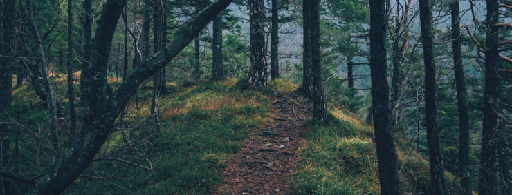 Natural Stress Relief