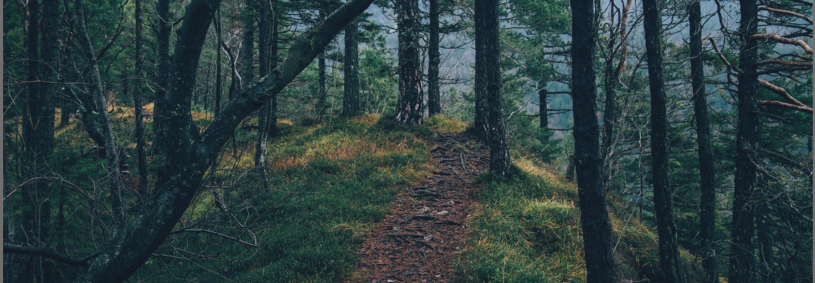Natural-Stress-Relief